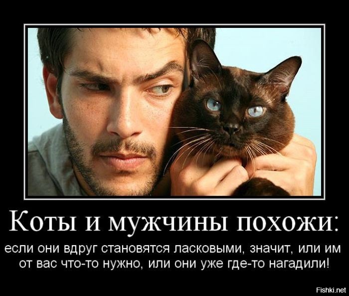 Всякая всячина демотиваторы, прикол, юмор