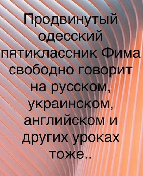 Бабы! Перестаньте просить у Деда Мороза на Новый год непьющих и работящих мужиков!… юмор,приколы,Юмор,картинки приколы,приколы,приколы 2019,приколы про