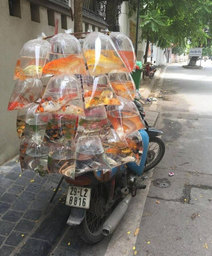 Подборка прикольных картинок  приколы,смешные картинки,юмор