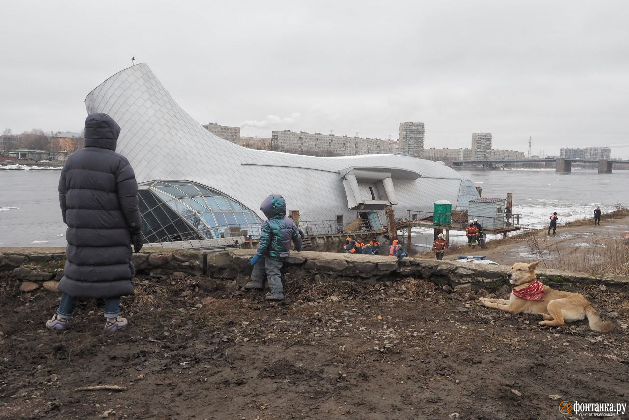 кит санкт петербург