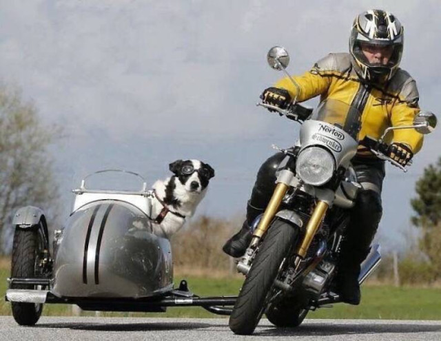 Анекдоты недели и кукушка брюс уиллис