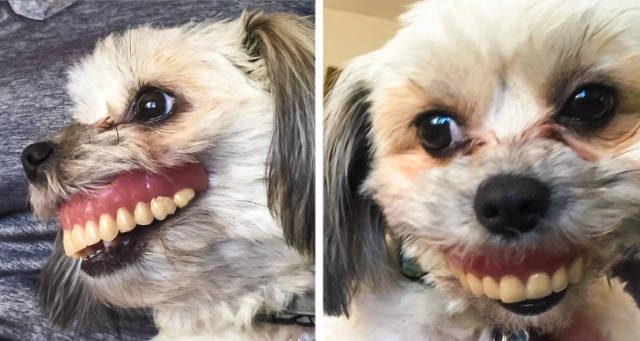 Весёлые картинки для всех Весёлые картинки для всех