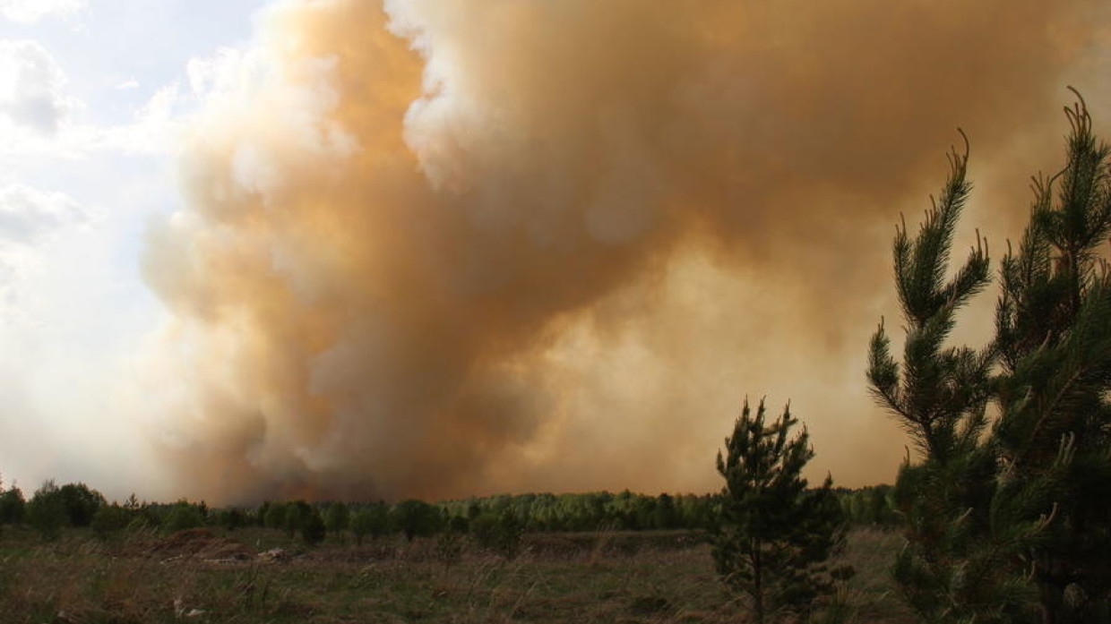 Более тысячи человек задействованы в ликвидации лесных пожаров в Карелии Происшествия