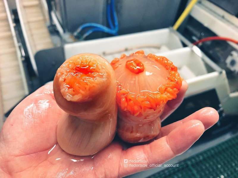 Странные существа из морских глубин, пойманные Романом Федорцовым