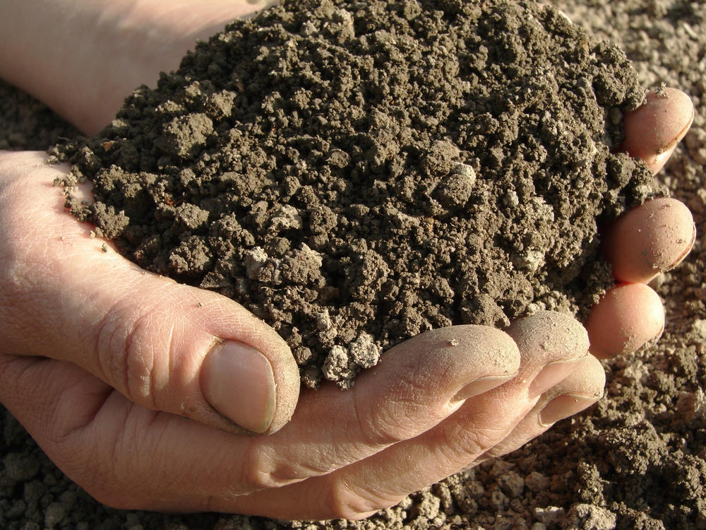 Пора готовить почву для рассады грунт, должен, рассады, кислоты, которые, вещества, землю, огородной, обработки, натрия, почва, после, чтобы, подготовить, возбудителей, такой, всегда, могут, заранее, веществ
