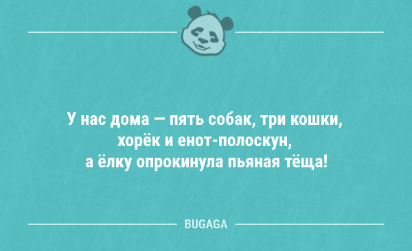 Анекдоты для новогоднего настроения  анекдоты