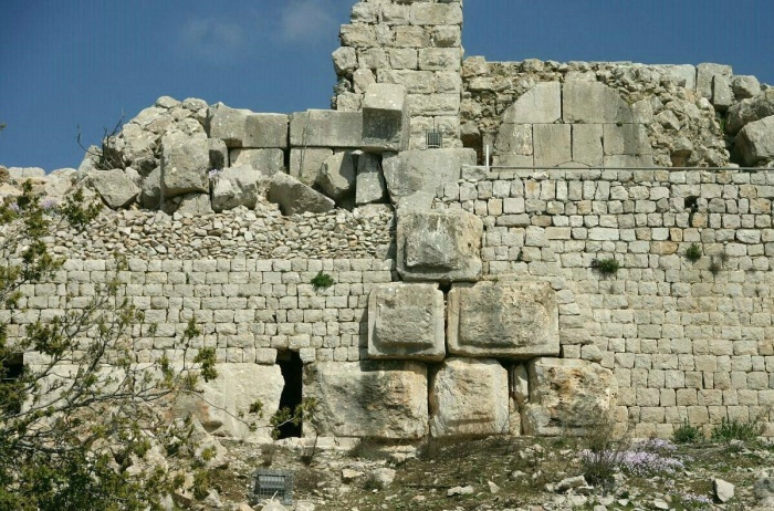  immanuel-tours.com.