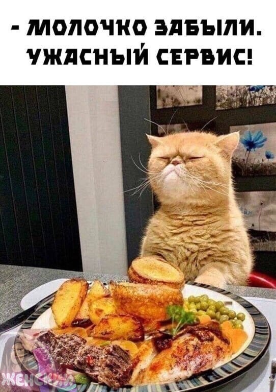 Глухая зимняя ночь после суматошного дня Глухая зимняя ночь после суматошного дня