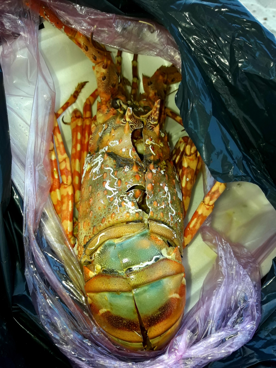 Вьетнам. Прилет Вьетнам. Прилет заграница,путешествие,страны,туризм