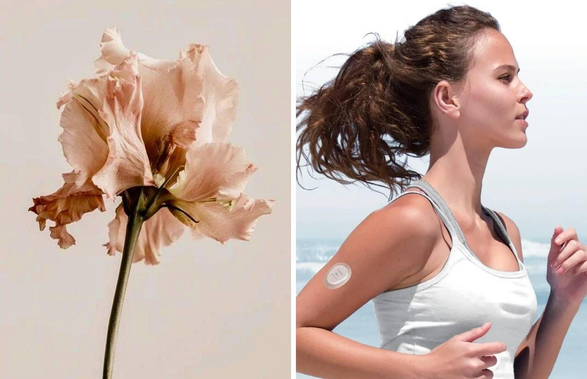 Какие бьюти-процедуры нельзя делать при сахарном диабете делать, процедуры, диабетом, можно, людей, сахарным, может, данный, «сахарный, диагнозом, консультации, врачом, времени, заболевание, нельзя, косметологические, заболевания, глюкозы, сделать, число