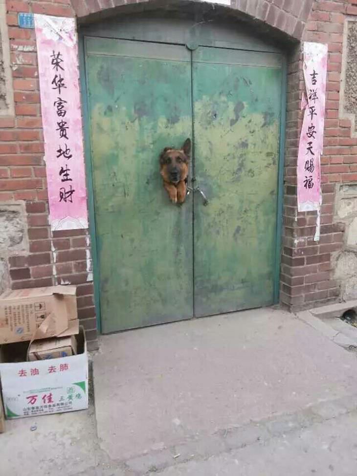 Прикольные фотографии которые поднимут настроение