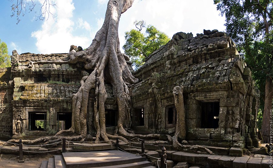 Камбоджийский храм Та Пром (Ta Prohm) и гигантские деревья можно, храмов, деревья, блоки, стенами, когда, более, несколько, вековые, храма, Ангкор, гигантскими, наблюдать, туристов, такой, камни, только, много, храмы, массивным