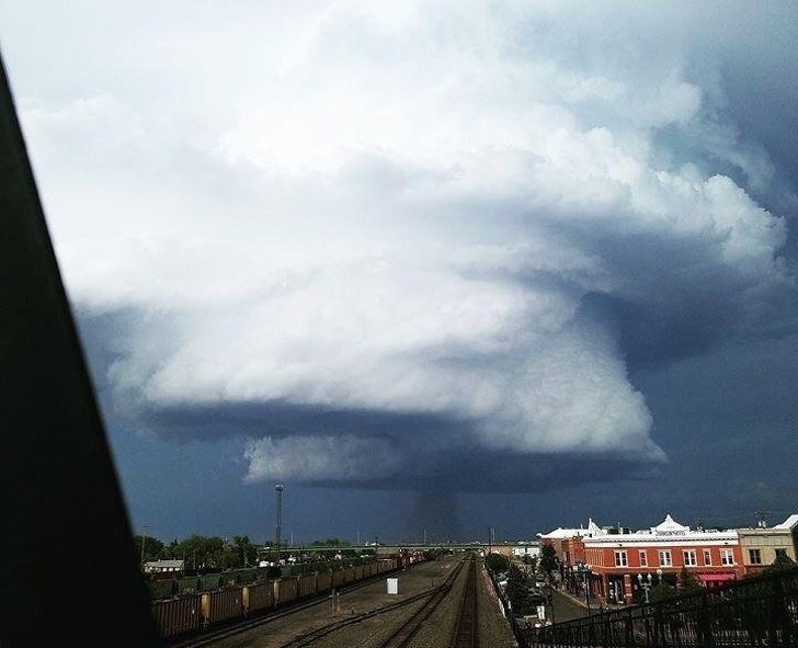 15 случаев, когда природа в своих фантазиях зашла слишком далеко 15 случаев, когда природа в своих фантазиях зашла слишком далеко интересное,мир,удивительно ,фотография, животные , природа