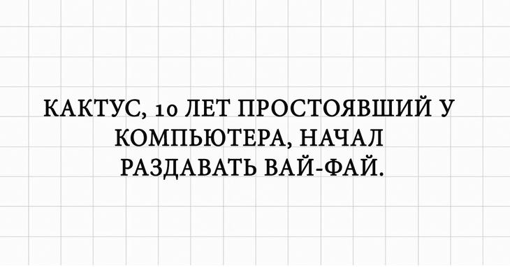 Подборка юмора и позитива в картинках Подборка юмора и позитива в картинках