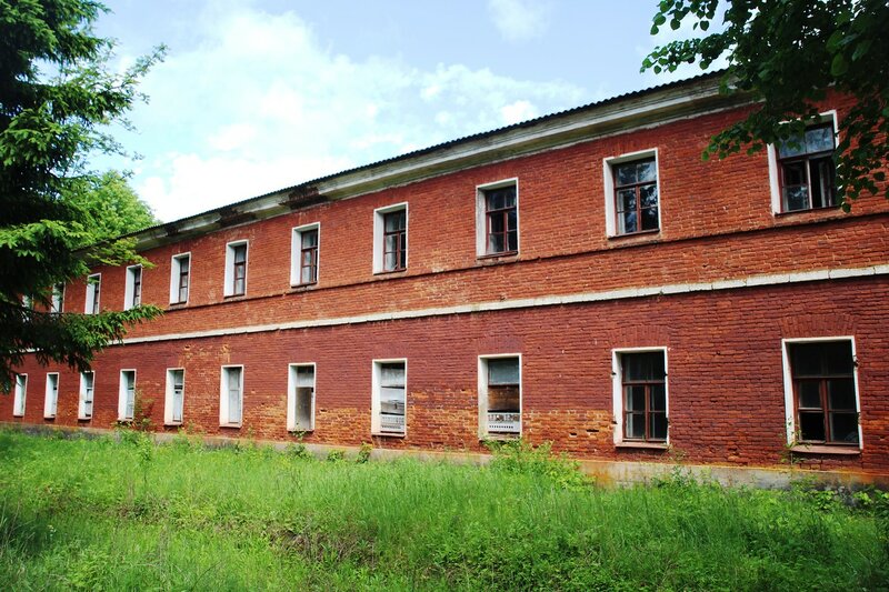 Медведь новгородская область