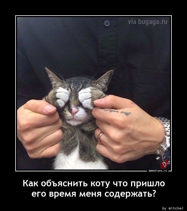 Постоянная рубрика для любителей демотивирующих картинок! Несём хорошее настроение в каждый монитор! 