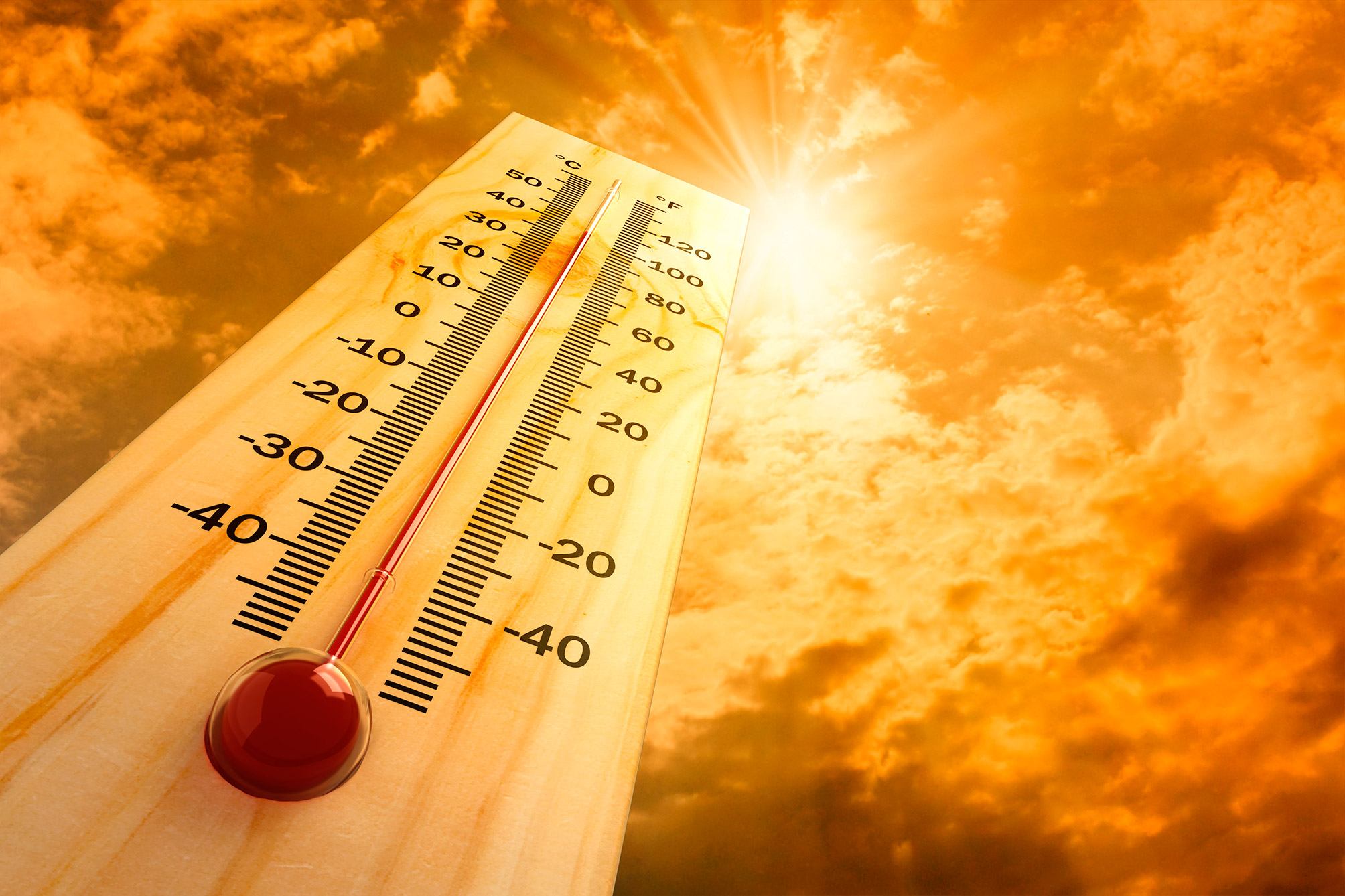 Москвичам пообещали до 32 градусов жары в понедельник