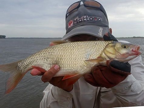 Фото: Алексей Коломиец.
