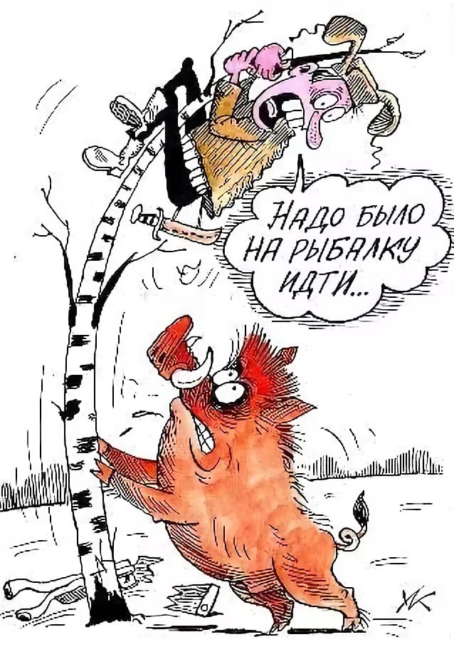 Прикольные картинки мотивация сова грибов в лесу нет тушканчик кабан