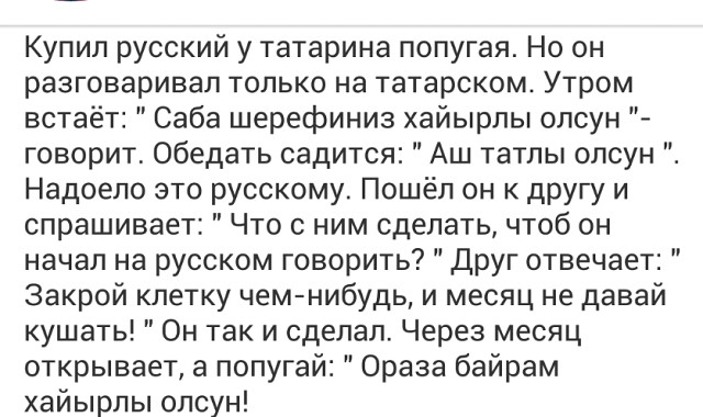 Анекдот про татарку и русскую. Анекдот про русского и татарина. Анекдот про попугая татарина. Татарские анекдоты. Анекдот про татарского попугая.