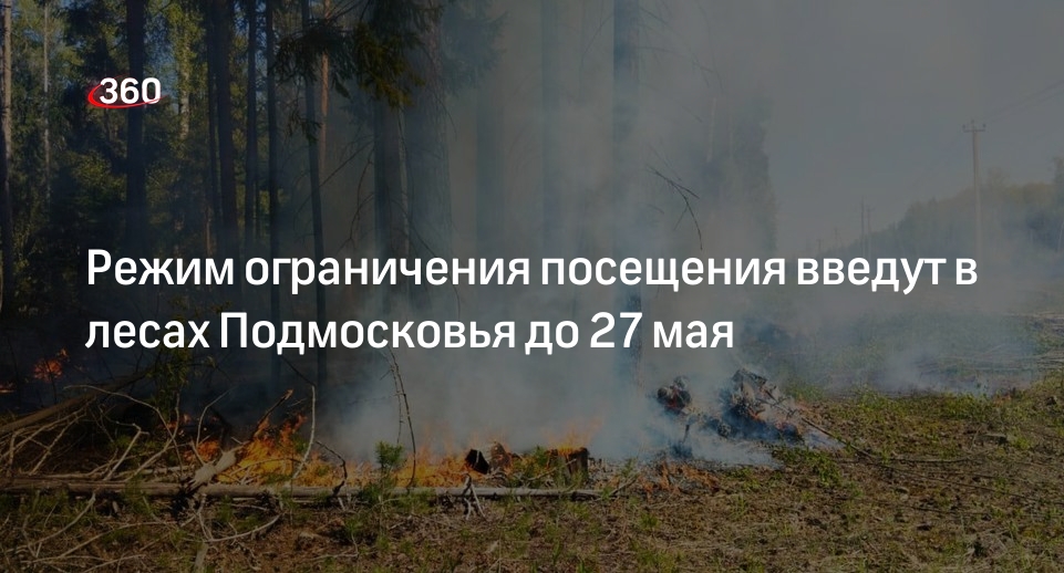 Режим ограничения посещения введут в лесах Подмосковья до 27 мая