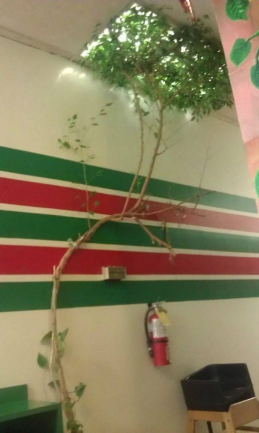 Картинки и фото для отличного настроения 