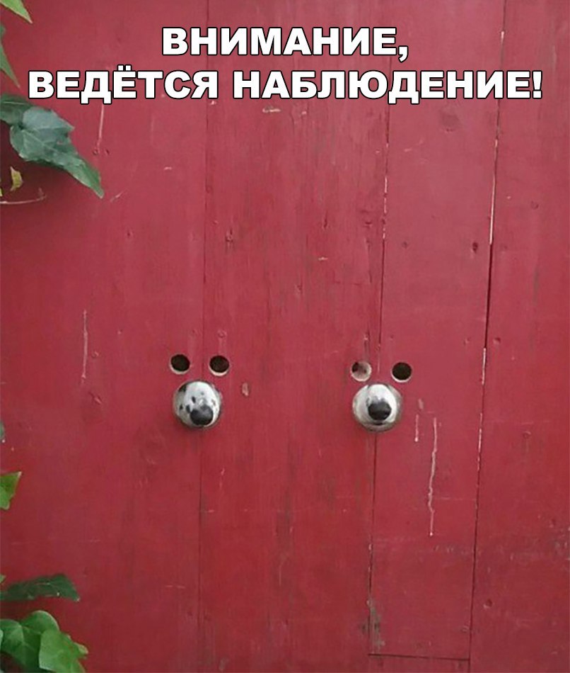 Забавные картинки и смешные фотографии с надписями Забавные картинки и смешные фотографии с надписями