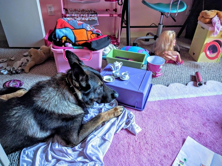 Каждому ребенку нужен питомец картинки