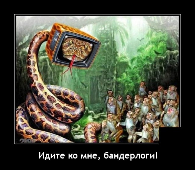 Новые демотиваторы  демотиваторы