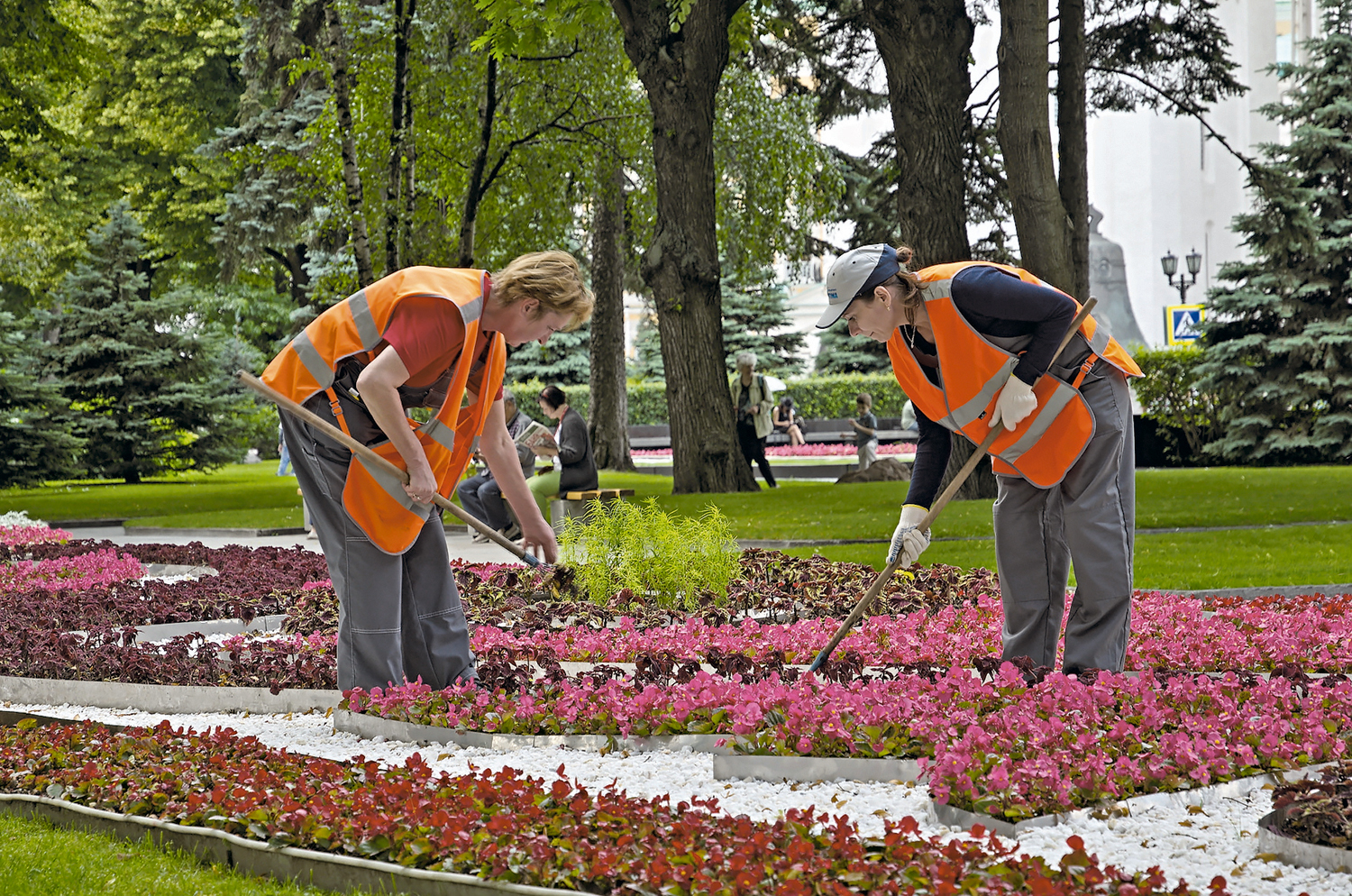 Почти 185 тысяч цветов высадят в Коптево в этом году