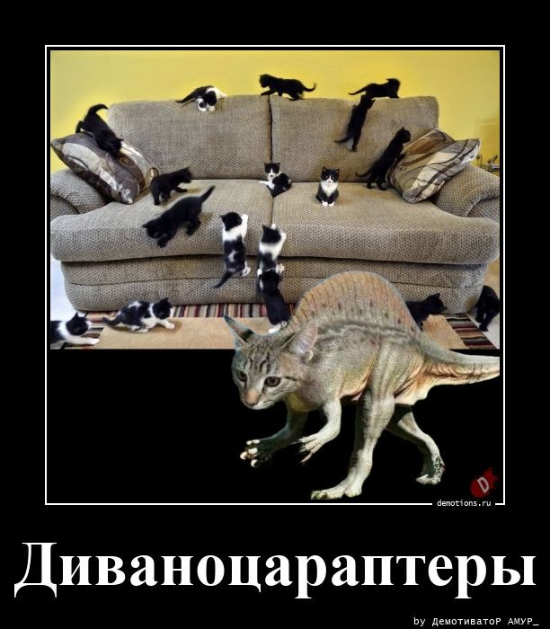 Пятничные демотиваторы: «Вот оно — истинно мужское эскимо!» 