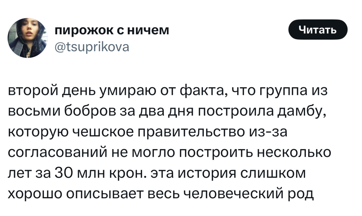 Завтра первый день оставшейся жизни... Завтра первый день оставшейся жизни...