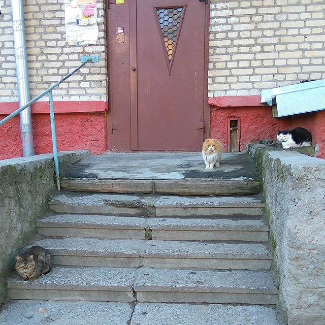 Давай, дядя, топай отсюда! банда, бандюки, грабеж, грабители, двор, прикол