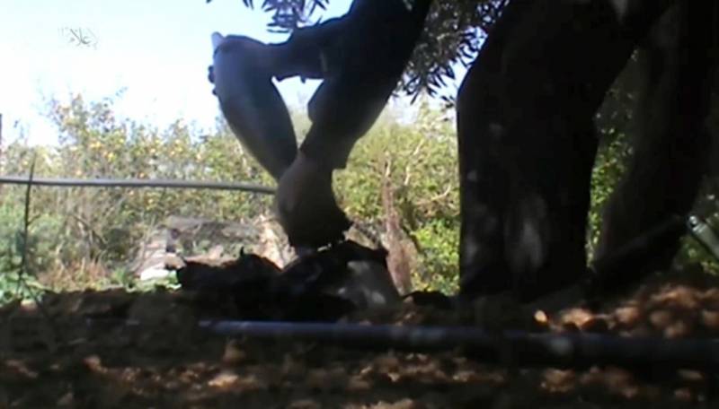 Вторжение Израиля в сектор Газа: лёгкая прогулка их там не ждёт геополитика,оружие