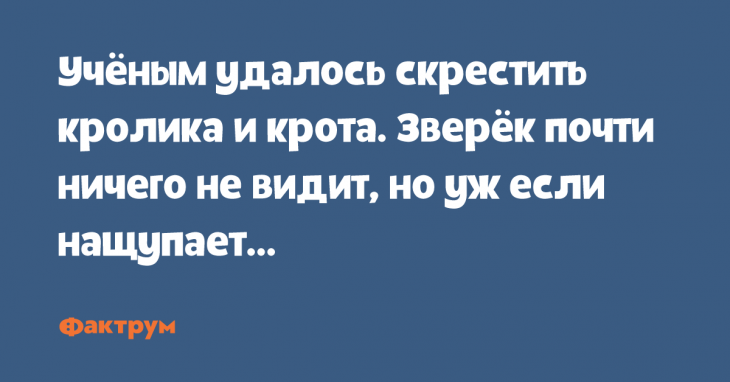 Угарные анекдоты для тех, кто с юмором в ладах Угарные анекдоты для тех, кто с юмором в ладах