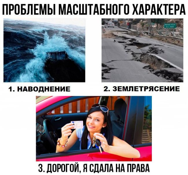 Веселые картинки с надписью со смыслом (11 фото)