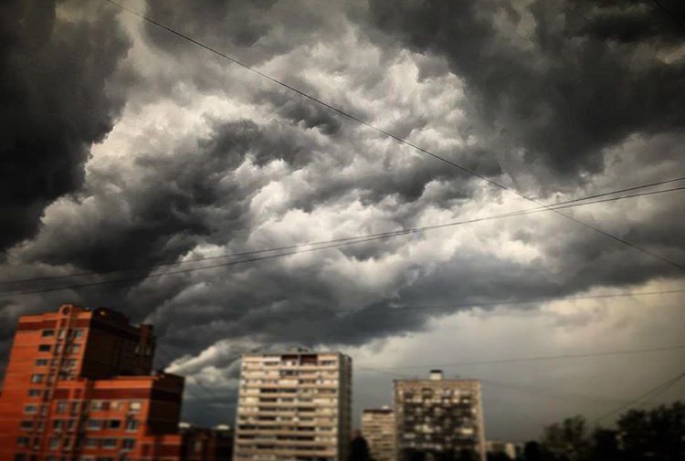 Вильфанд: в Москве 5 июля начнется дождь с порывами ветра до 25 м/с