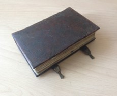 РАРИТЕТ. ЛИСТАЕМ РЕДКУЮ КНИГУ