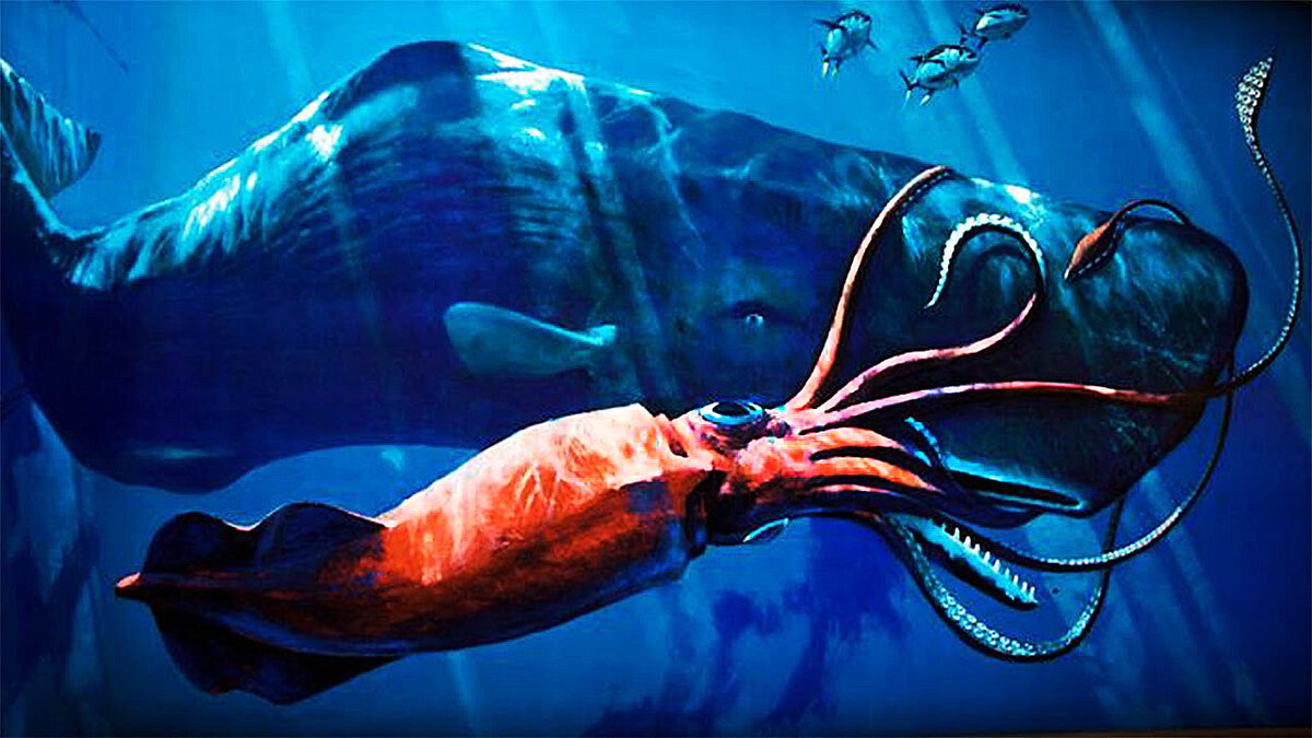 Ничего себе глаза!!! ТОП 5 самых глазастых животных планеты Ничего себе глаза!!! ТОП 5 самых глазастых животных планеты животные,интересное,природа