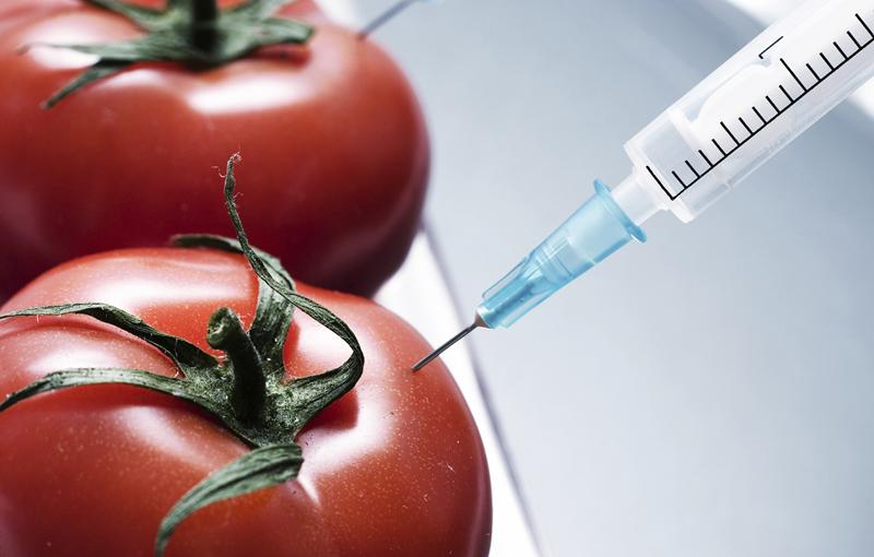 опасные для здоровья продукты фото