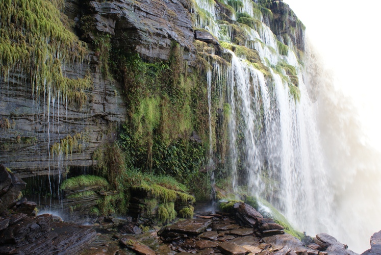 canaima--