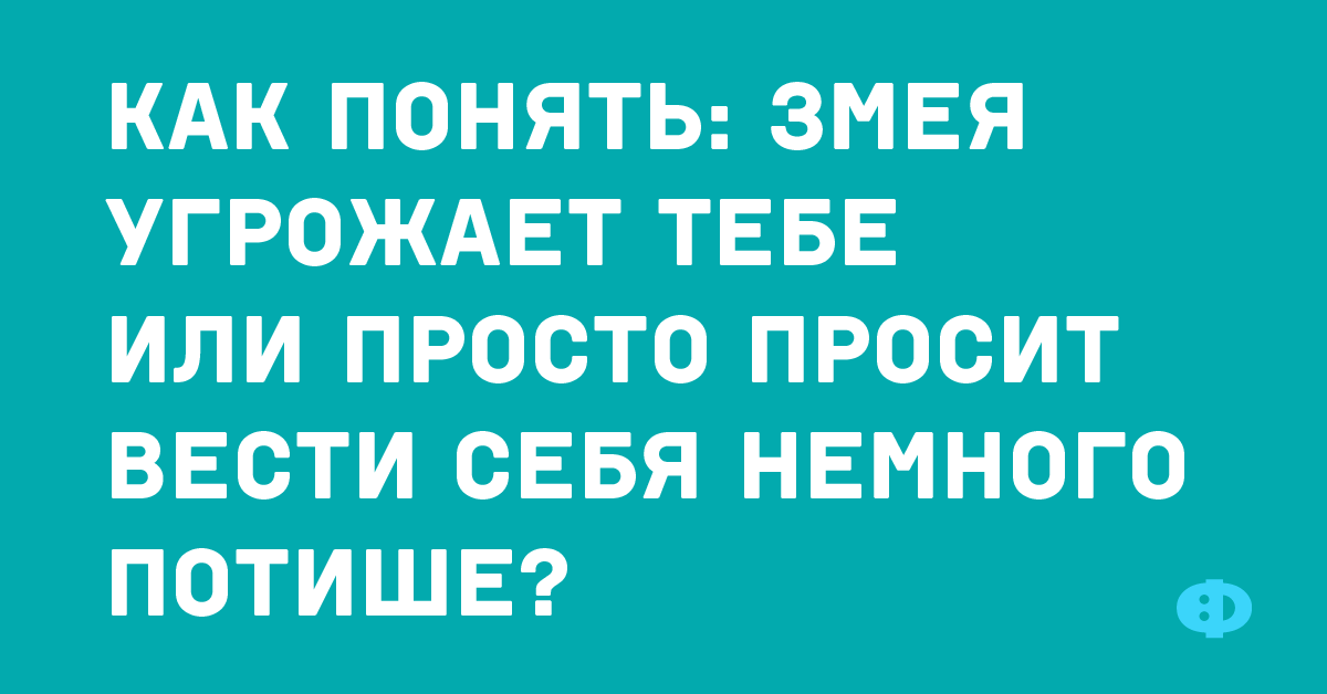 Мама, у тебя тут в столе шоколадка лежала, можно, я её уже съел? Мама, у тебя тут в столе шоколадка лежала, можно, я её уже съел? анекдоты,приколы,юмор