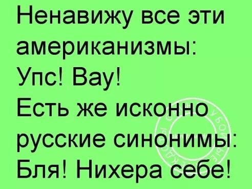 Приехал ковбой в гости к индейцам. Вождь отправился с ним показать свои владения... Весёлые