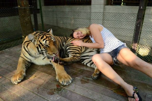 Фотоподборка четверга Фотоподборка четверга