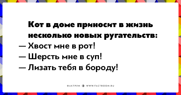 20 открыток о нелегкой жизни котов и их владельцев 20 открыток о нелегкой жизни котов и их владельцев