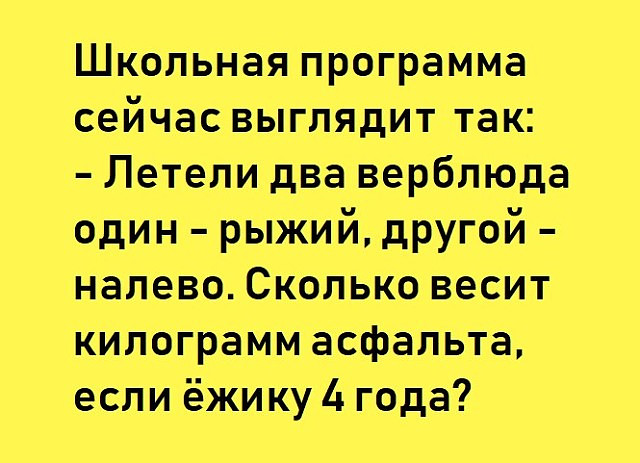 В бар заходит мужик, а за ним страус и мокрая кошка... Весёлые,прикольные и забавные фотки и картинки,А так же анекдоты и приятное общение