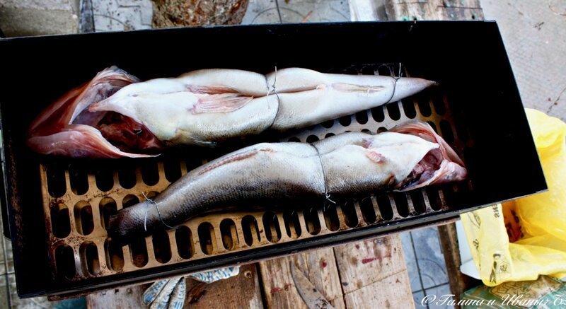 Судаки копчёные Судаки копчёные