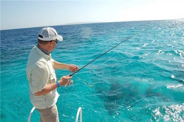 Советы для тех, кто хочет рыбачить в Австралии