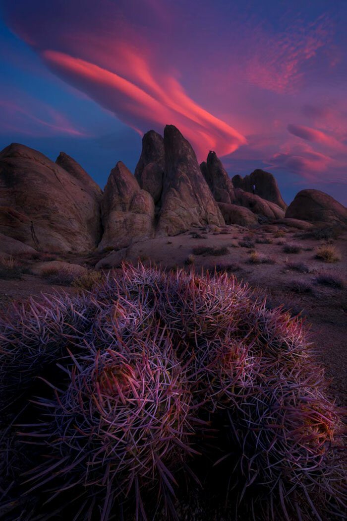 Наша потрясающая планета: 30 лучших пейзажей с конкурса Landscape Photographer Of The Year природа