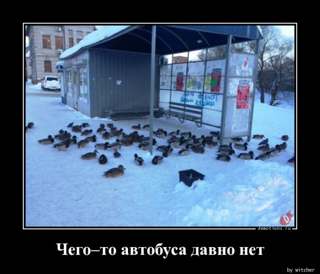 Демотиваторы на любой вкус: «Когда пельмени ещё не остыли» 